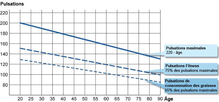 Fréquence Cardiaque Maximale En Fonction De L Age